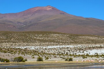 Landscape - Bolivia