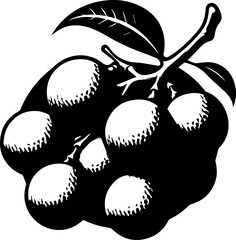 longan icon 