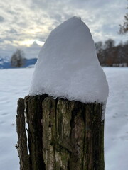 Closeup of fence post with snow on top, trees and sky in the background