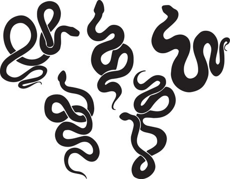 Snake Vector Silhouette
