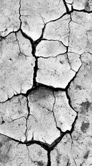 Obraz premium A close-up view of cracked, dry earth showcasing intricate patterns and textures.