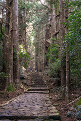 熊野古道　大門坂