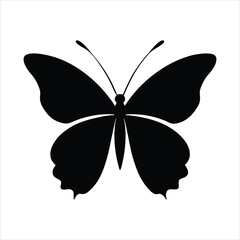 Bold butterfly on white background