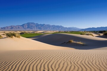 Fototapeta premium A desert landscape with a golf course in the distance. The sky is clear and blue, and the sand dunes are undulating