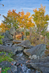 紅葉の槍沢から流れ出る川