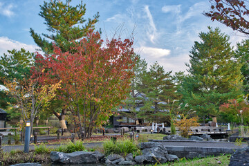 紅葉に包まれた東屋
