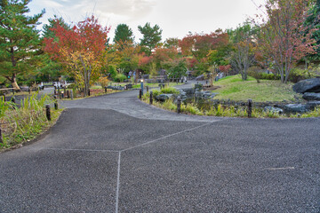 紅葉に包まれた日本庭園