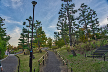 公園の展望台から見た風景