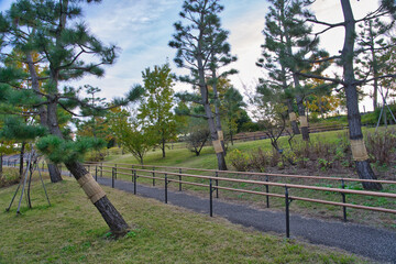 公園の展望台から見た風景