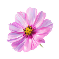 Obraz premium Pink Flower Blossom