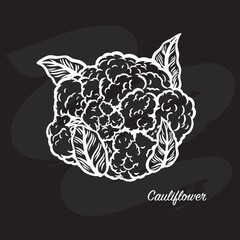 Sketch image of cauliflower on a black background