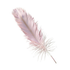 Fototapeta premium Delicate Pink Feather Isolated