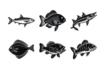 Fish Silhouette Vector Bundle Sardine, Flounder, Grouper & More