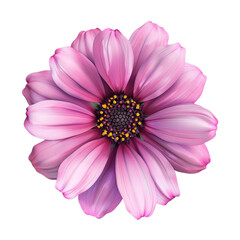 Obraz premium Pink Flower Close-Up
