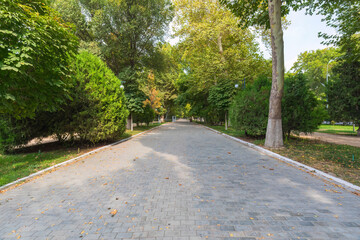 One of the shady alleys in the park in Tashkent