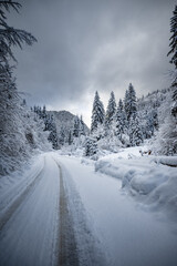 Obraz premium Snowy mountain road winding through a winter forest landscape