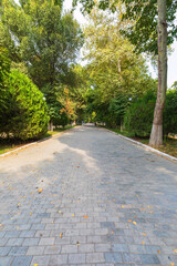 One of the shady alleys in the park in Tashkent