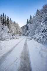 Snowy mountain road winding through snow covered trees in winter