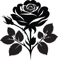 Obraz premium A silhouette of little black rose flower