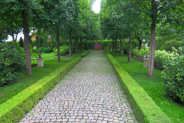 Orekhovno Landscape Park in the Pskov region. An alley with trimmed shrubs