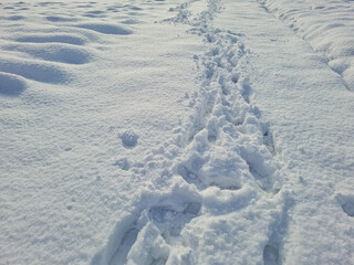 Human footprints in the snow. Snow landscape