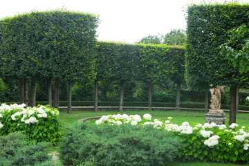 Obraz premium Orekhovno Landscape Park in the Pskov region. Neatly trimmed shrubs