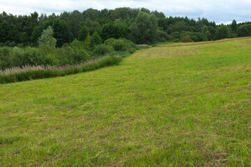 Orekhovno Landscape Park in the Pskov region. Picturesque view of the summer expanses