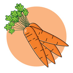 carrot illustration
