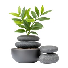 Obraz premium A serene arrangement of stacked stones topped with a green plant, symbolizing harmony and balance in decor.