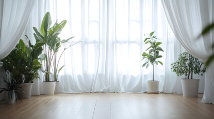 Fototapeta premium A serene natural-light photography studio with soft white curtains potted plants and a clean wooden floor.