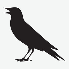 Finch bird silhouette vector illustration
