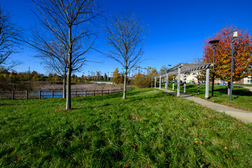 In autumn, the public park in Arese transforms into a vibrant tapestry of colors. The trees display rich shades of amber and gold.