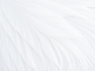 Obraz premium Soft and delicate white feather pattern with intricate texture, white