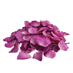 Closeup of Pink Rose Petals