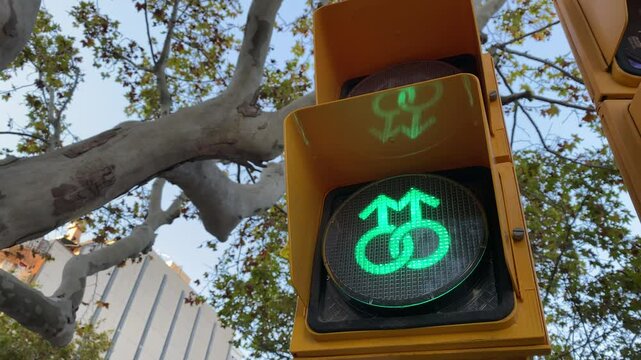 Yellow traffic light with green cyclist  lgtb simbol and pedestrian signals in an urban setting during daytime.
