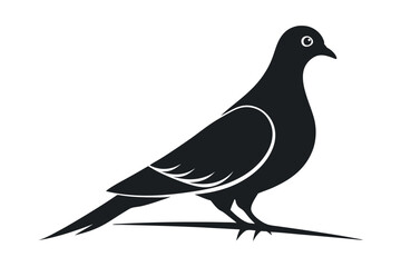 Pigeon silhouette vector illustration in black and white