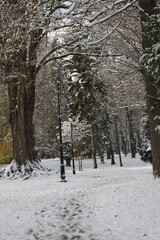 winter in the park