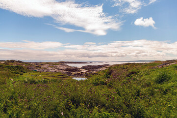 A beautiful, lush green field with a blue sky in the background