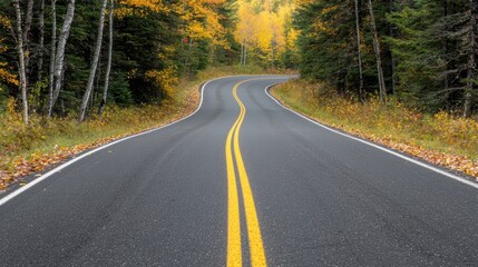 Obraz premium A tree-lined country road bathed in autumn hues, with leaves gently falling onto the pavement