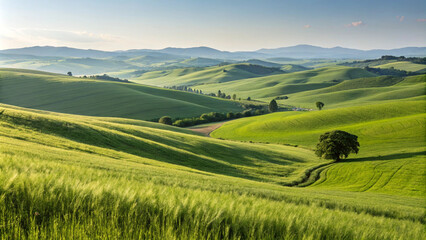 Fototapeta premium Rolling Hills of Tuscany
