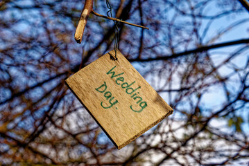 Croft Castle and Garden - Herefordshire