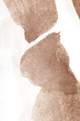 Fototapeta premium Monochrome Sepia and White Ink Wash Gentle Gradiant Background with Lines on Paper Grain