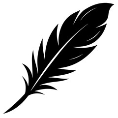 Obraz premium black feathers clipart cartoon Illustration drawing