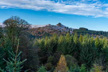 Obraz premium Dartmoor covered by snow, Sharpitor peak and trees
