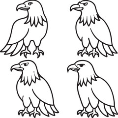 set of birds isolated on white eagle