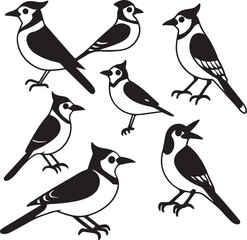 Obraz premium bird birds animal vector nature