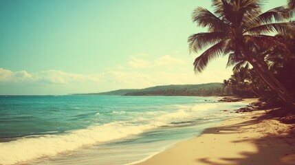 Fototapeta premium Beautiful beach with palm trees and gentle waves in a tropical paradise under a clear blue sky
