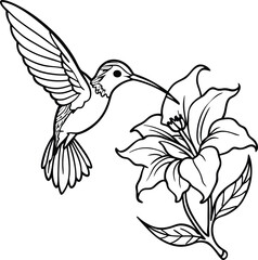 Obraz premium A hummingbird hovering near a flower