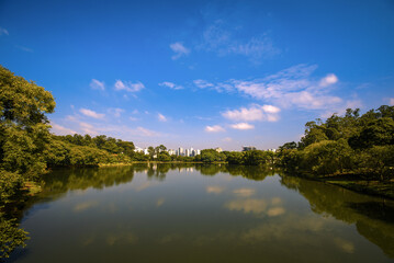 Fototapeta premium Reflections at Ibirapuera Park’s Lake with the City Skyline in the Background - São Paulo, Brazil