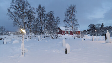 winter landscape with trees and snow, this is christmas